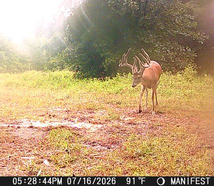 Land for sale in Choctaw County, Oklahoma