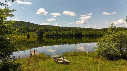 Land for sale in Walker County, Alabama