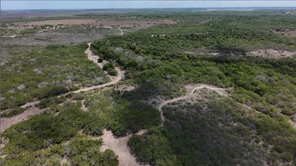 Undeveloped Land for sale in Live Oak County, Texas
