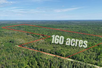 Timberland Property for sale in Luce County, Michigan
