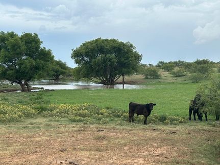 Land for sale in Donley County, Texas