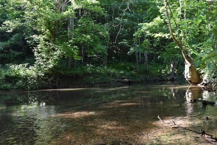 Farm and Ranch for sale in Rockcastle County, Kentucky