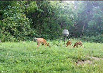 Timberland Property for sale in Noble County, Ohio