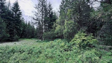 Hunting Property for sale in Clearwater County, Idaho