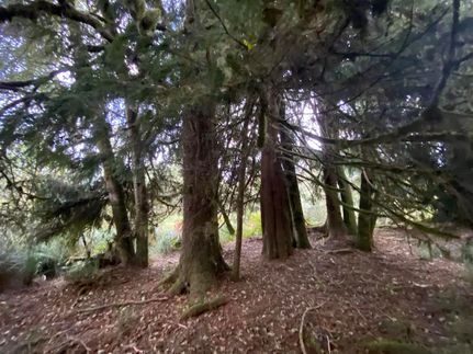 Recreational Property for sale in Clatsop County, Oregon