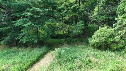 Recreational Property for sale in Carroll County, Ohio