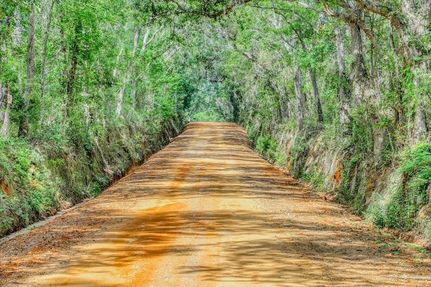 Undeveloped Land for sale in Brooks County, Georgia