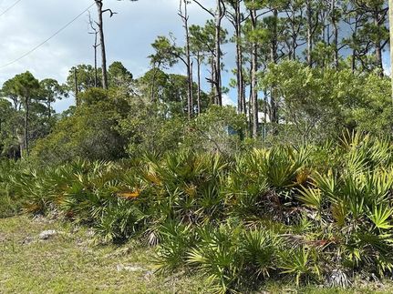 Recreational Property for sale in Franklin County, Florida