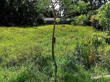 Timberland Property for sale in Sarasota County, Florida