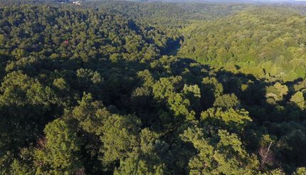 Land for sale in Fleming County, Kentucky