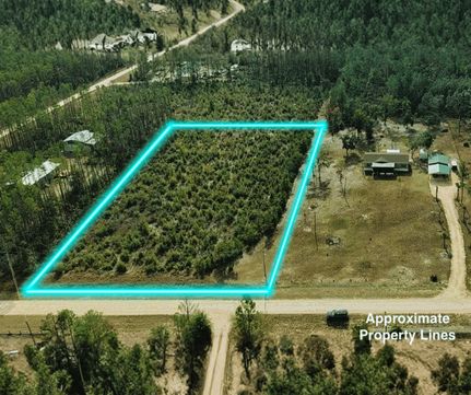Undeveloped Land for sale in Taylor County, Florida