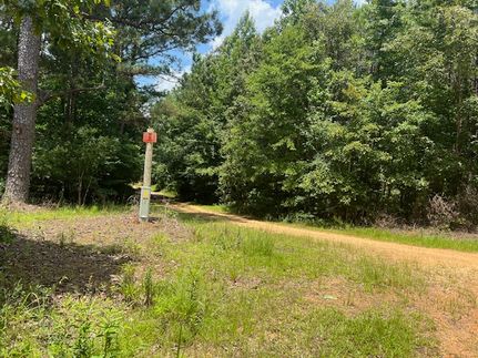 Land for sale in Marengo County, Alabama