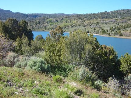 Farm and Ranch for sale in Iron County, Utah