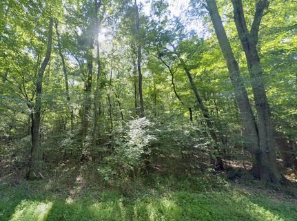 Farm and Ranch for sale in Marshall County, Alabama
