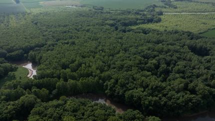 Land for sale in Henderson County, Illinois