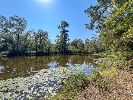 Riverfront Property for sale in Cherokee County, Texas
