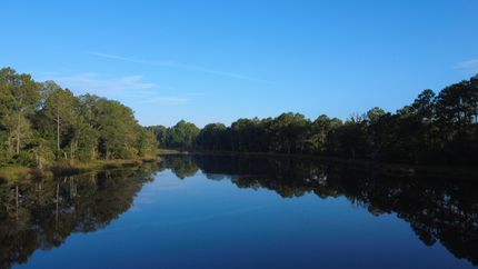 Hunting Property for sale in Colquitt County, Georgia