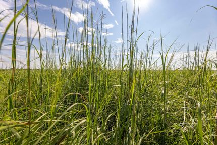 Farm and Ranch for sale in Chautauqua County, Kansas