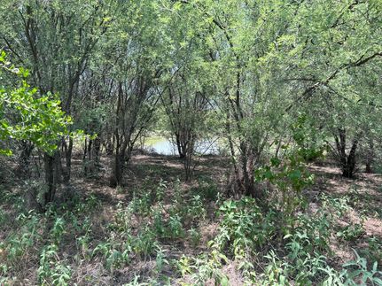 Land for sale in Zapata County, Texas