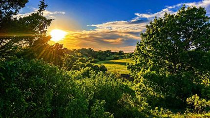 Land for sale in Montague County, Texas