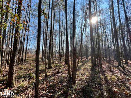Land for sale in Perry County, Alabama
