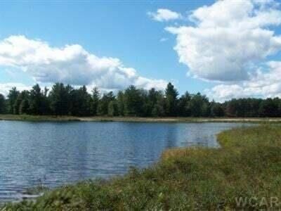 Lakefront Property for sale in Mecosta County, Michigan