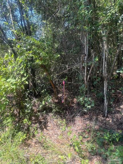Recreational Property for sale in Santa Rosa County, Florida