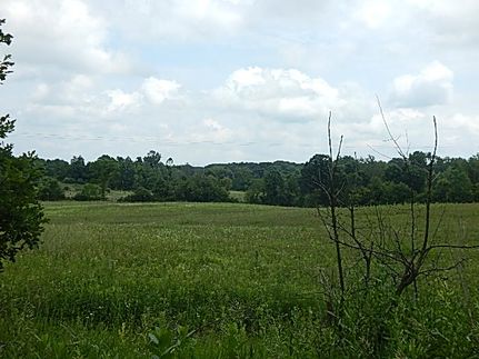 Recreational Property for sale in Clinton County, Michigan