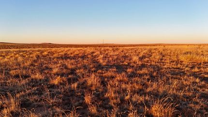 Land for sale in Debaca County, New Mexico