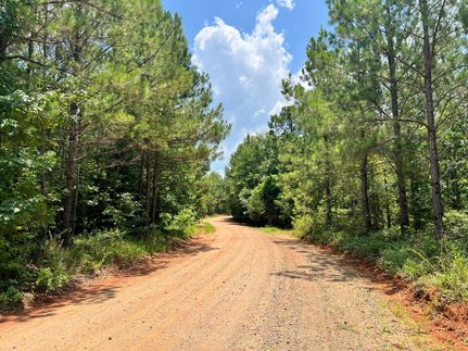 Land for sale in Elmore County, Alabama