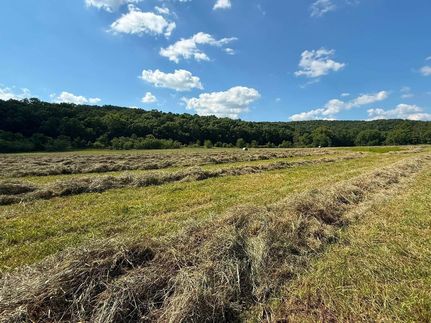 Undeveloped Land for sale in Wright County, Missouri