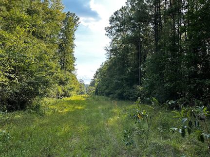 Land for sale in Perry County, Mississippi