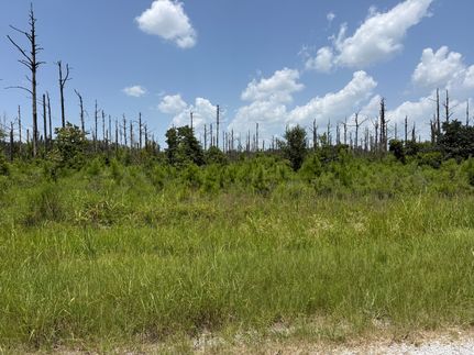 Land for sale in Richland Parish, Louisiana