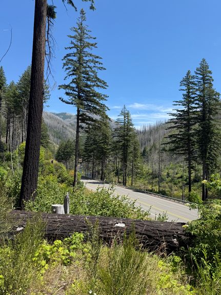 Farm and Ranch for sale in Marion County, Oregon