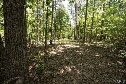 Land for sale in Bollinger County, Missouri