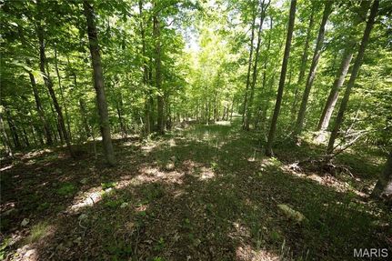 Land for sale in Bollinger County, Missouri