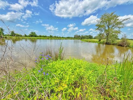 Farm and Ranch for sale in Houston County, Texas