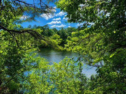 Timberland Property for sale in Early County, Georgia