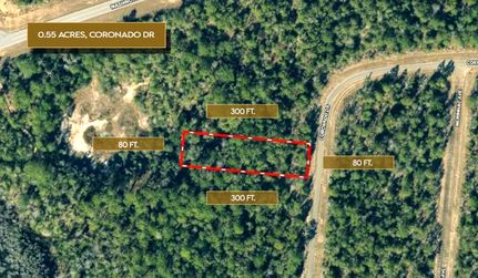Undeveloped Land for sale in Washington County, Florida