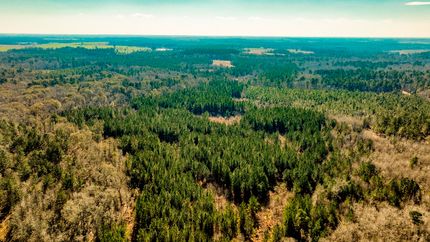 Land for sale in Jenkins County, Georgia