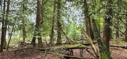 Land for sale in Mackinac County, Michigan