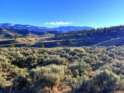 Undeveloped Land for sale in Costilla County, Colorado