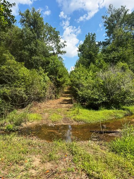 Undeveloped Land for sale in Randolph County, Georgia