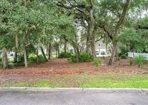 Timberland Property for sale in Nassau County, Florida