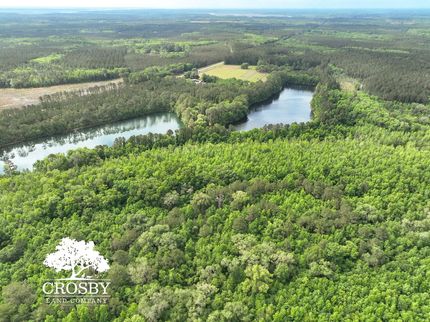 Recreational Property for sale in McIntosh County, Georgia