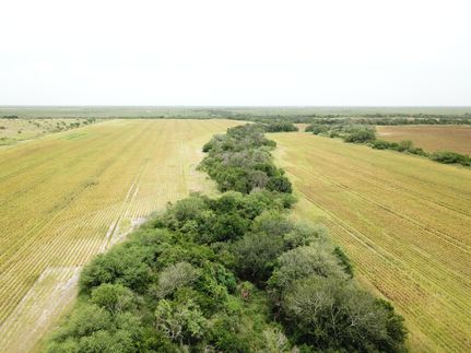 Land for sale in Jim Wells County, Texas