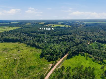 Timberland Property for sale in Turner County, Georgia