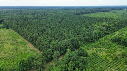 Timberland Property for sale in Cleveland County, Arkansas