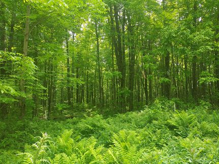 Farm and Ranch for sale in Forest County, Wisconsin