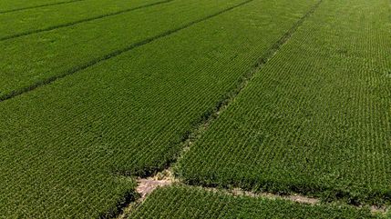 Farm and Ranch for sale in Sacramento County, California